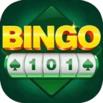 BINGO 101
